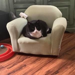 Meet your Posher, Kimberly